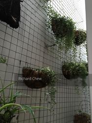 Serangoon Garden Estate (D19), Terrace #136651492